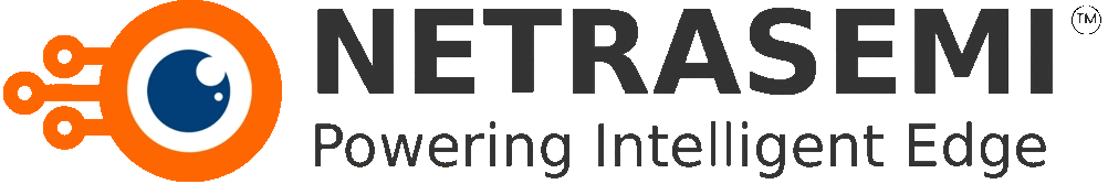 Netrasemi Private Limited logo